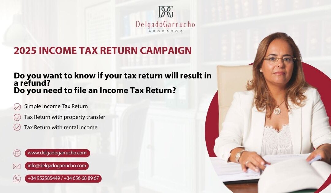2025 Income Tax Return campaign professional tax advice